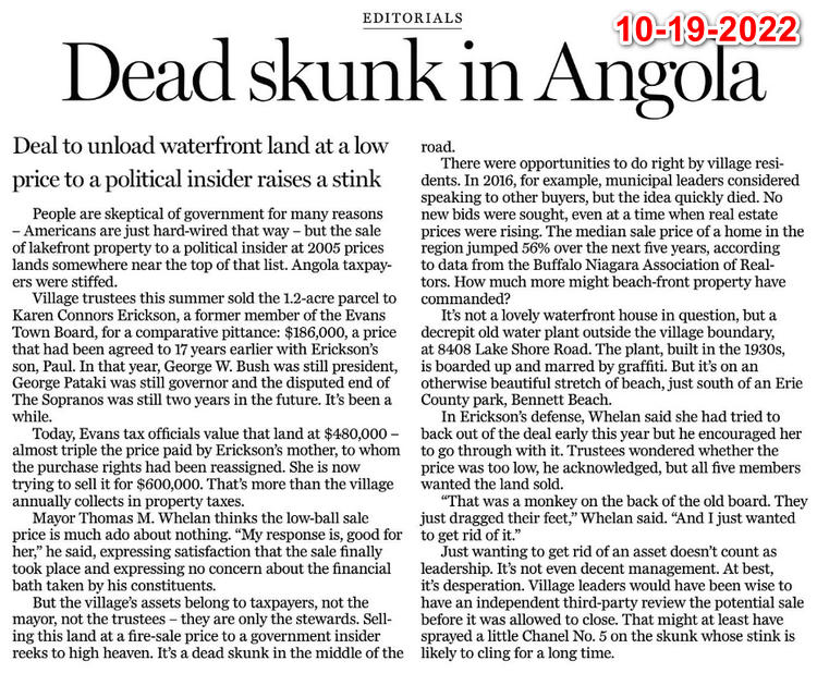 BN Editoial Dead Skunk In Angola